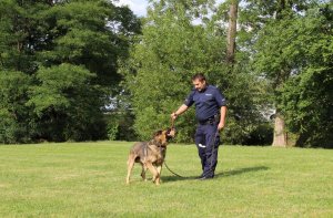 policjant z psem służbowym w trakcie pokazu tresury