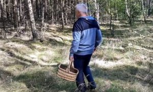 grzybiarz z koszykiem spacerujący po lesie