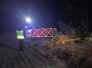 Policjant na miejscu wypadku w tle widać las i parawan straży pożarnej.