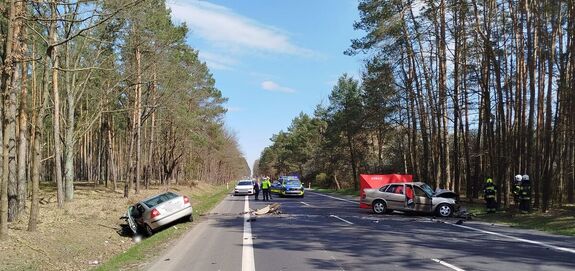 Miejsce wypadku, po bokach drogi w rowach stoją rozbite samochody, które uczestniczyły w zdarzeniu. W oddali stoją policjanci, radiowóz, wóz strażacki.
