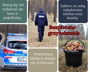Kolaż zdjęć pokazujących radiowóz i policjanta w lesie oraz zebrane grzyby w wiaderku. Napisy bezpieczne grzybobranie. Poinformuj bliskich dokąd idziesz. Do lasu nie wybieraj siew pojedynkę.Zabierz ze sobą naładowany telefon i latarkę.